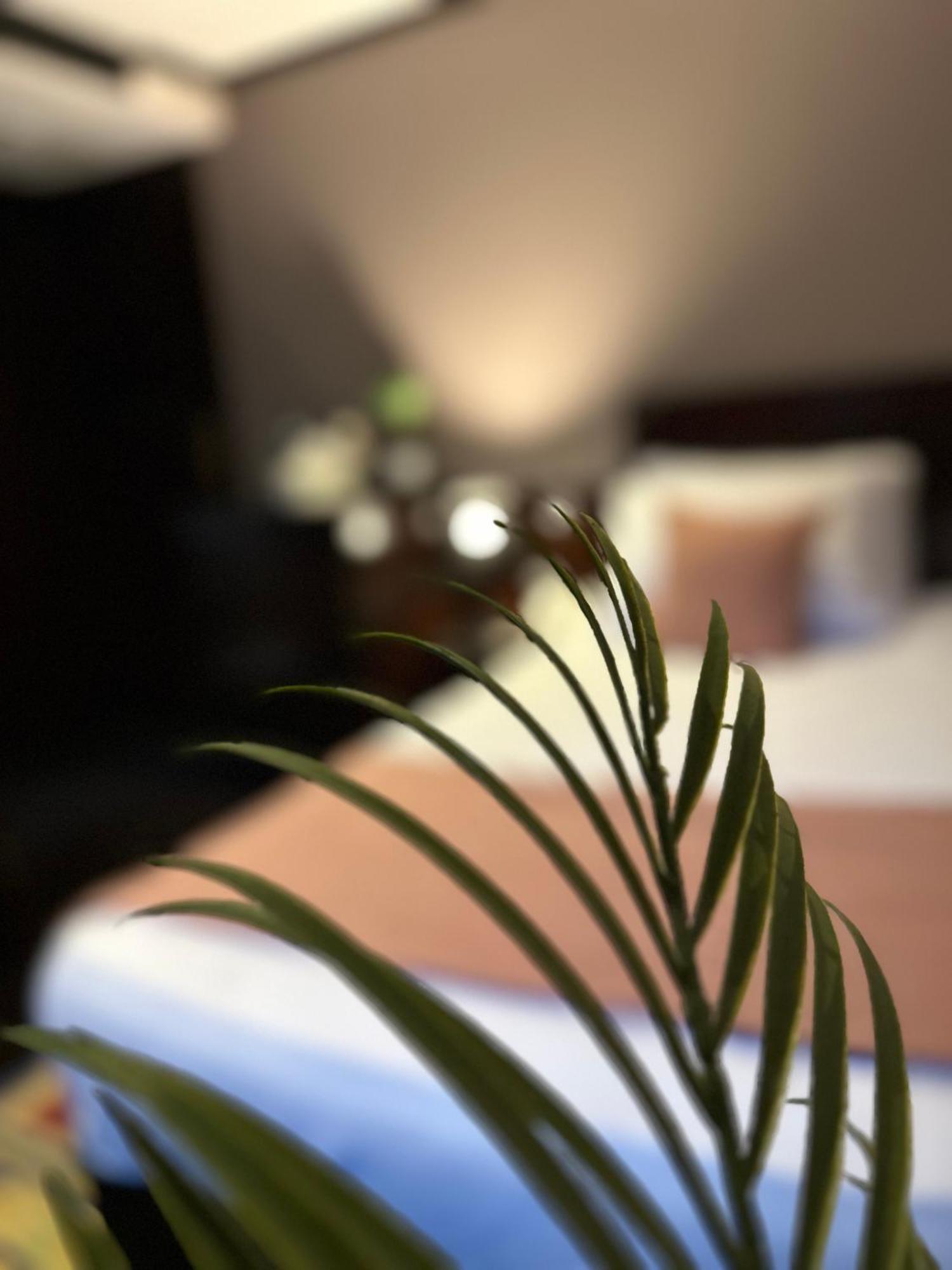 You Nile View Hotel Giza المظهر الخارجي الصورة